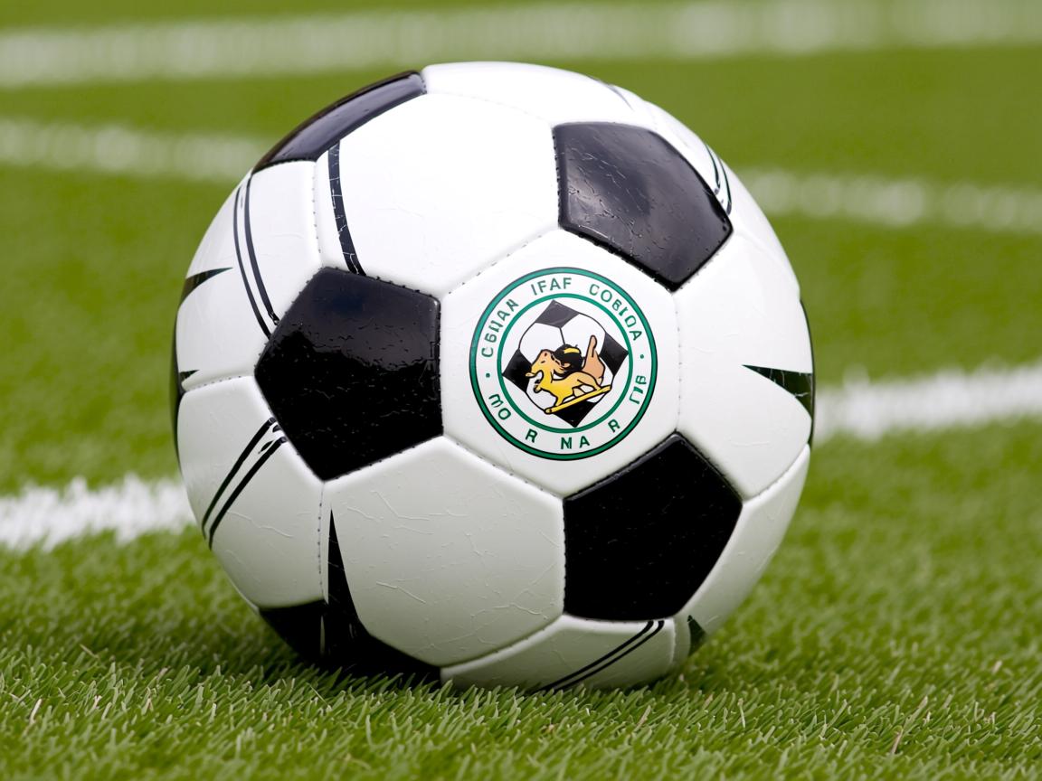 爱游戏体育在线-灰熊主场疯狂得分,击退马刺加强季后赛希望 第3张