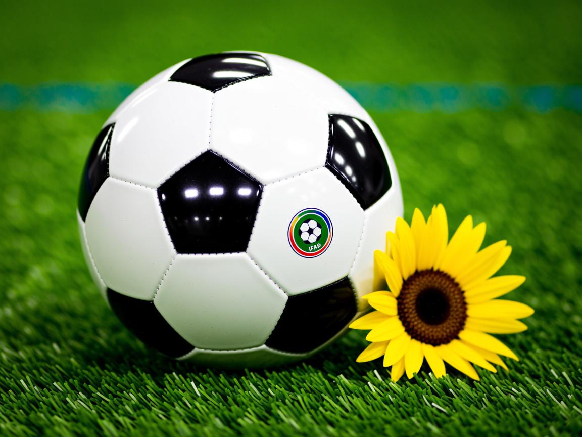 爱游戏app推荐-卡尔斯鲁厄主场遭遇连败，状态下滑