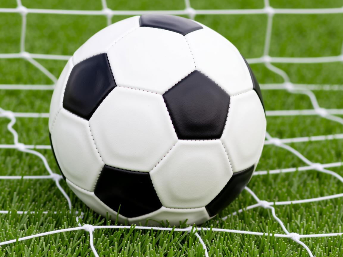 爱游戏下载-女子田径国家队进行专项力量训练测试，女子田径国家队进行专项力量训练测试的目的是  第3张