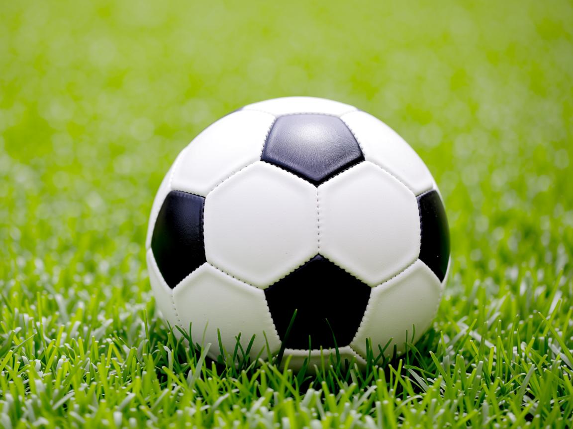 爱游戏体育-战队在地化运营策略加强城市归属感建设