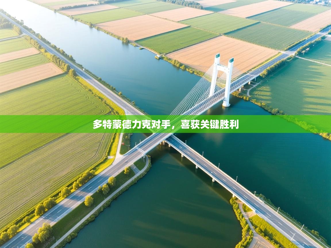 多特蒙德力克对手，喜获关键胜利  第2张