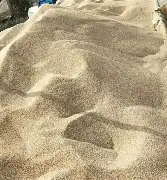 沙尔克带走宝贵三分，勇往直前的简单介绍
